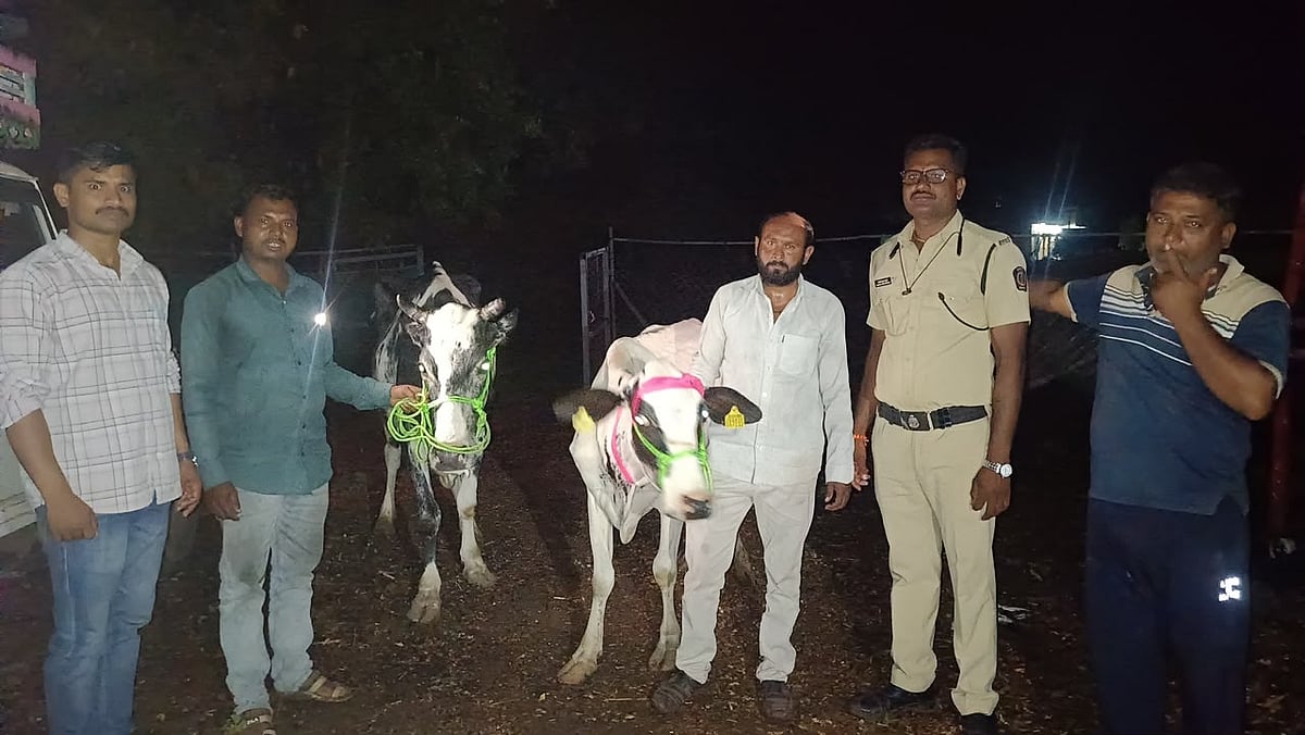 Chhatrapati Sambhajinagar: Police Rescue 14 Cattle, Seize Vehicles Worth ₹9.85 Lakh
