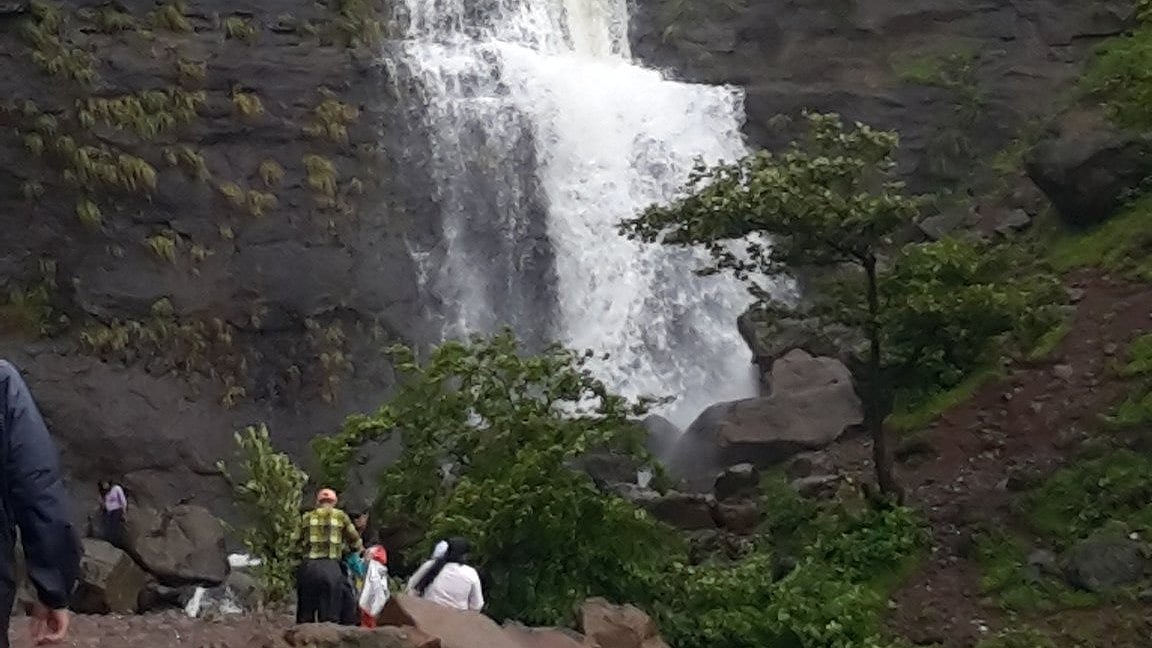 Nashik: Forest Department Imposes Strict Curbs At Harihar Fort, Waterfalls After Tourist Attack Near Bhavli Dam