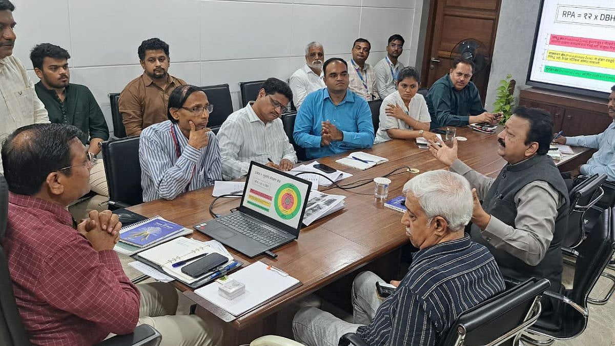 Mumbai: BMC Proposes Scientific Survey To Identify Hazardous Trees After Spike In Monsoon Tree Falls