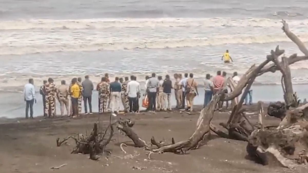 Palghar Tragedy: 17-Year-Old Drowns, Another Teen Missing After Strong Currents Sweep Them Away At Arnala Beach | Video