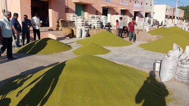 Farmers Keep Away From Selling Moong At Centres, Only 7K Tonnes Procured
