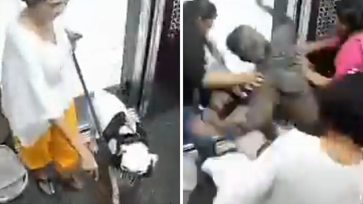 Mumbai Lift Horror: Pet Dog Turns Aggressive, Tries To Attack 3 Girls Inside Malad Residential Tower | Video