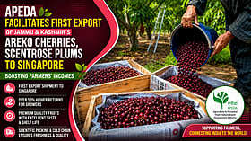 APEDA facilitates first Areko cherry and Scentrose plum export from J&K to Singapore