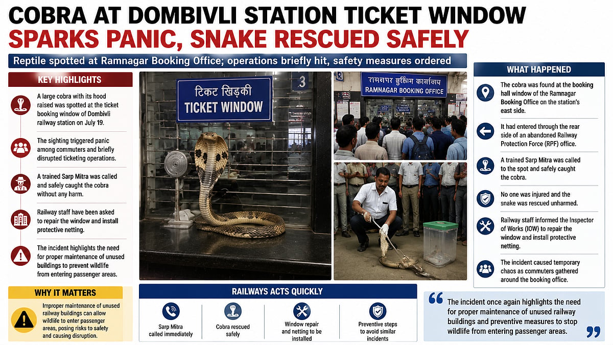 Cobra Spotted At Dombivli Station Ticket Window Triggers Panic Among Commuters, Safely Rescued
