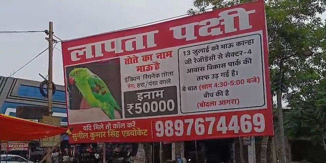 Agra Family Announces ₹50,000 Reward To Find Missing Pet Parrot 'Mau'