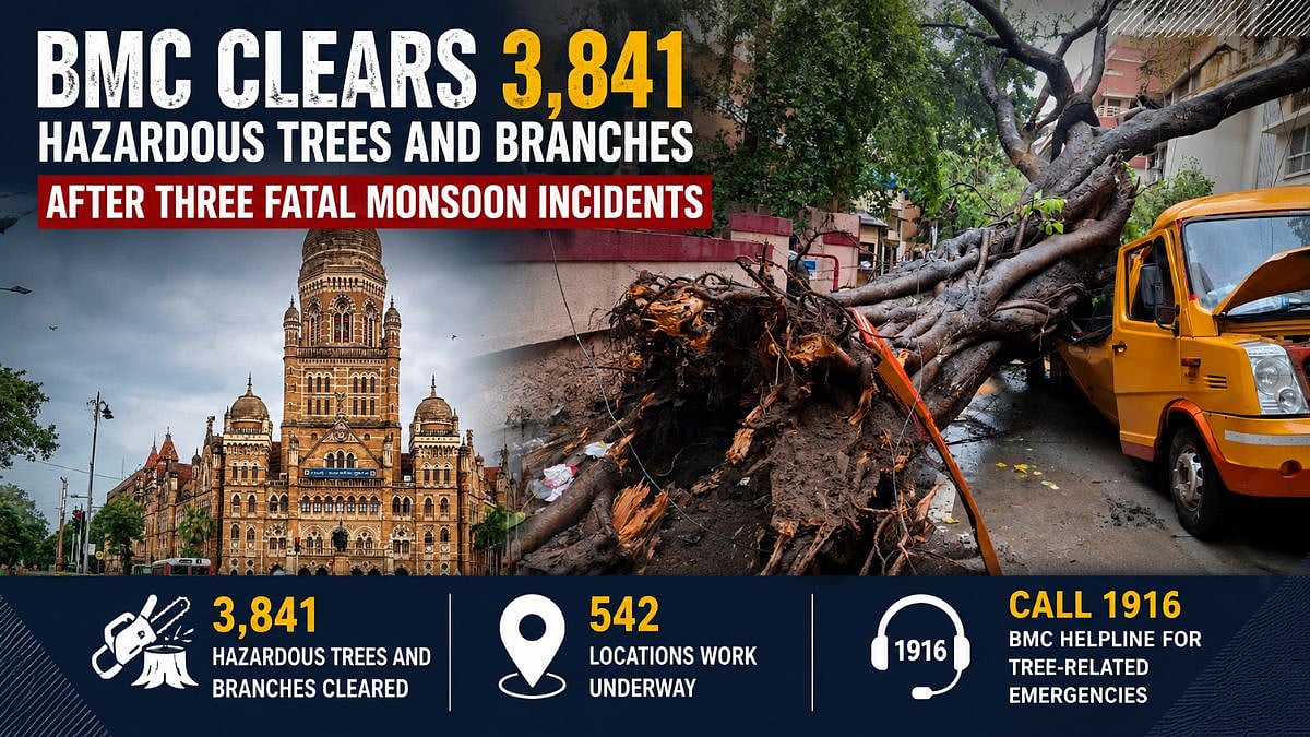 Mumbai: BMC Clears 3,841 Hazardous Trees And Branches After 3 Fatal Monsoon Incidents