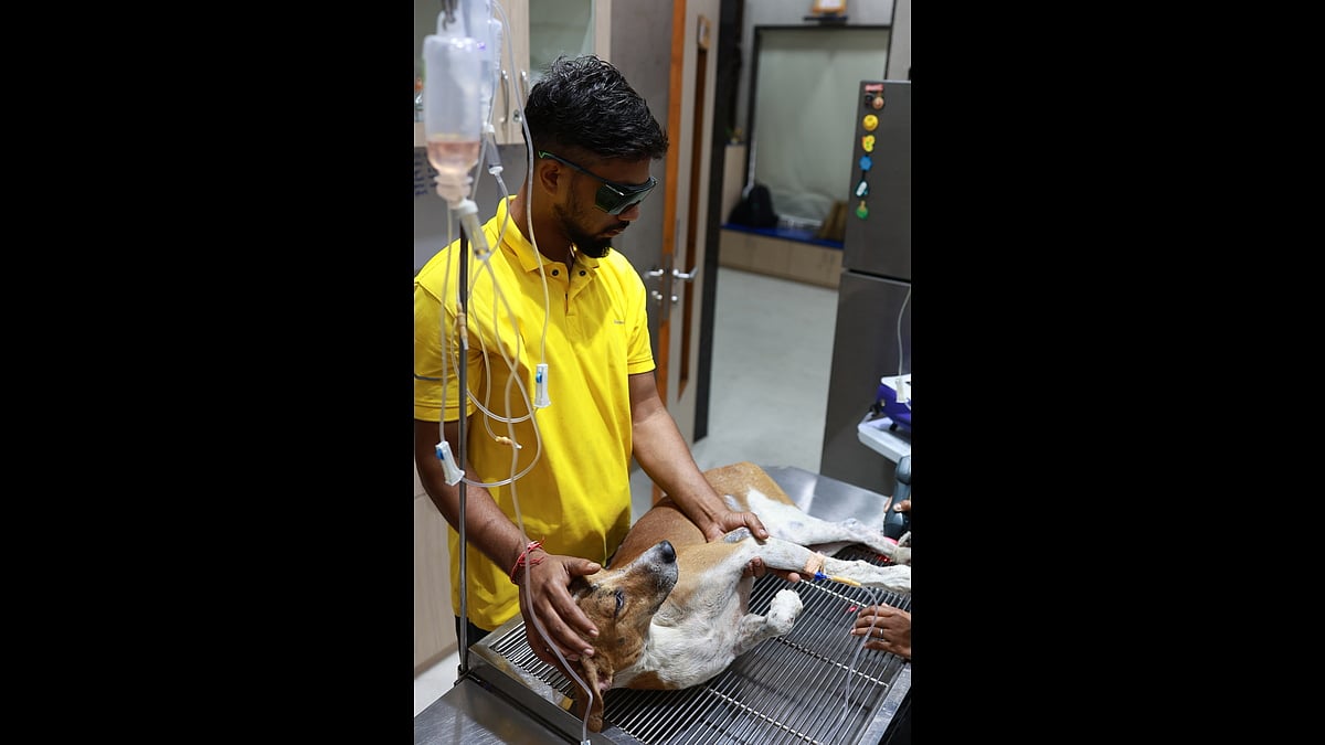 The NGO operates a 20,000-square-foot facility including a 100-bed animal hospital