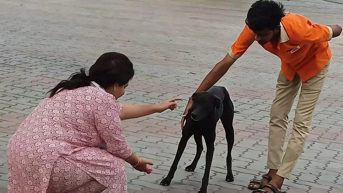 Man Accused Of Sexually Assaulting Stray Dog In Dharampuri, Probe Underway After Complaint