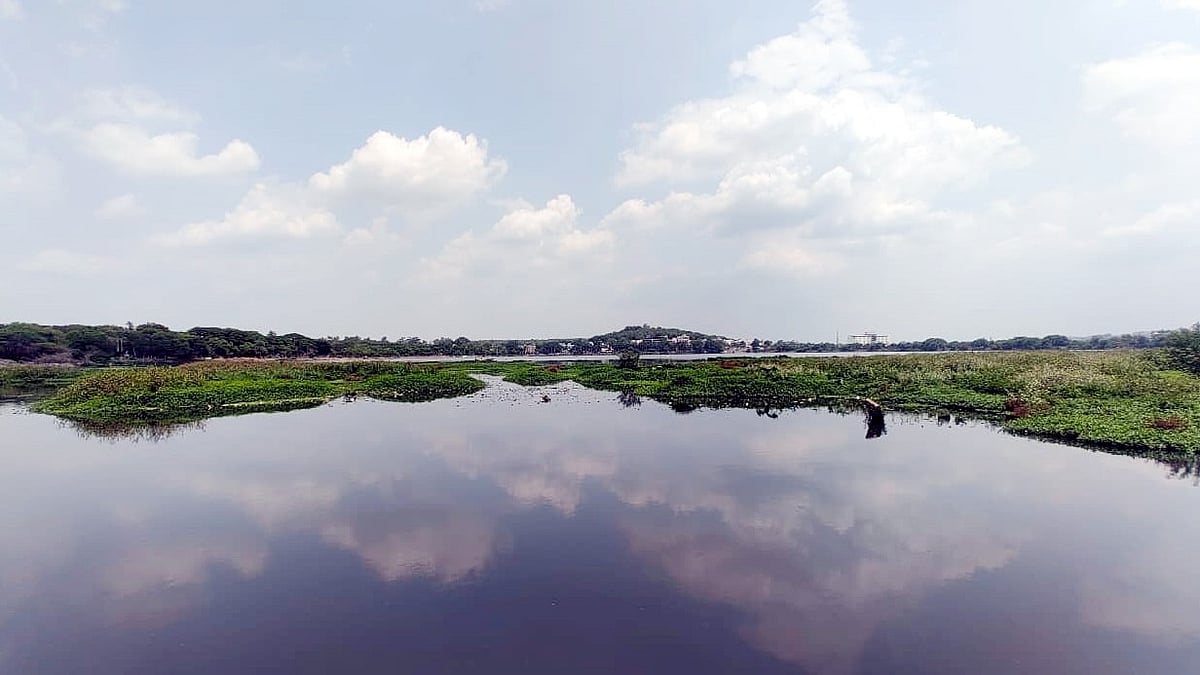 NGT Orders Immediate Measures To Protect Bhopal's Shahpura Lake