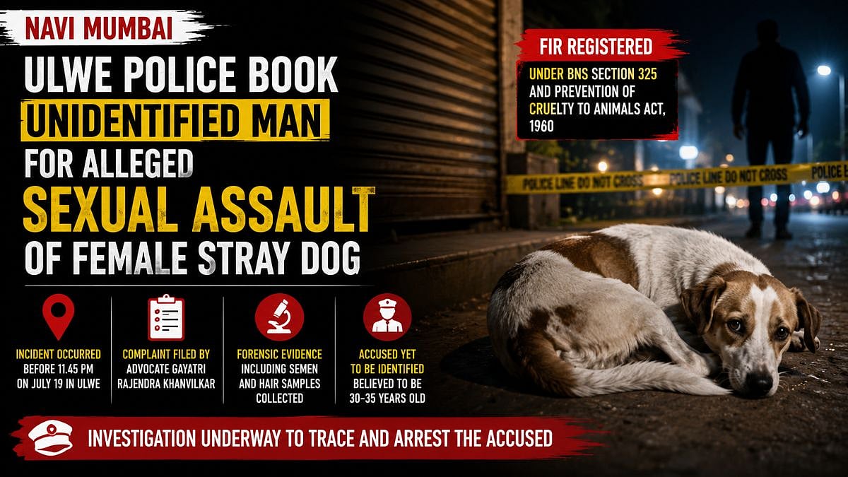 Navi Mumbai Crime: Ulwe Police Book Unidentified Man For Alleged Sexual Assault Of Female Stray Dog