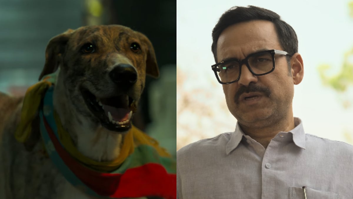 Ohh My Dog Trailer: Pankaj Tripathi Starrer Looks Like An Interesting Film About Missing Dogs - Watch