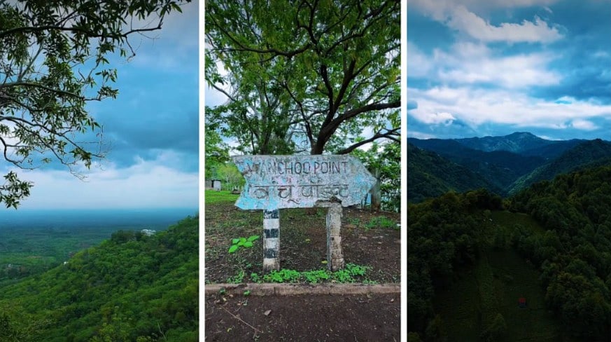 Looking For A Quick Monsoon Escape? See How MP's Wanchoo Point Turns Into Lush Green Paradise During The Rains | VIDEO