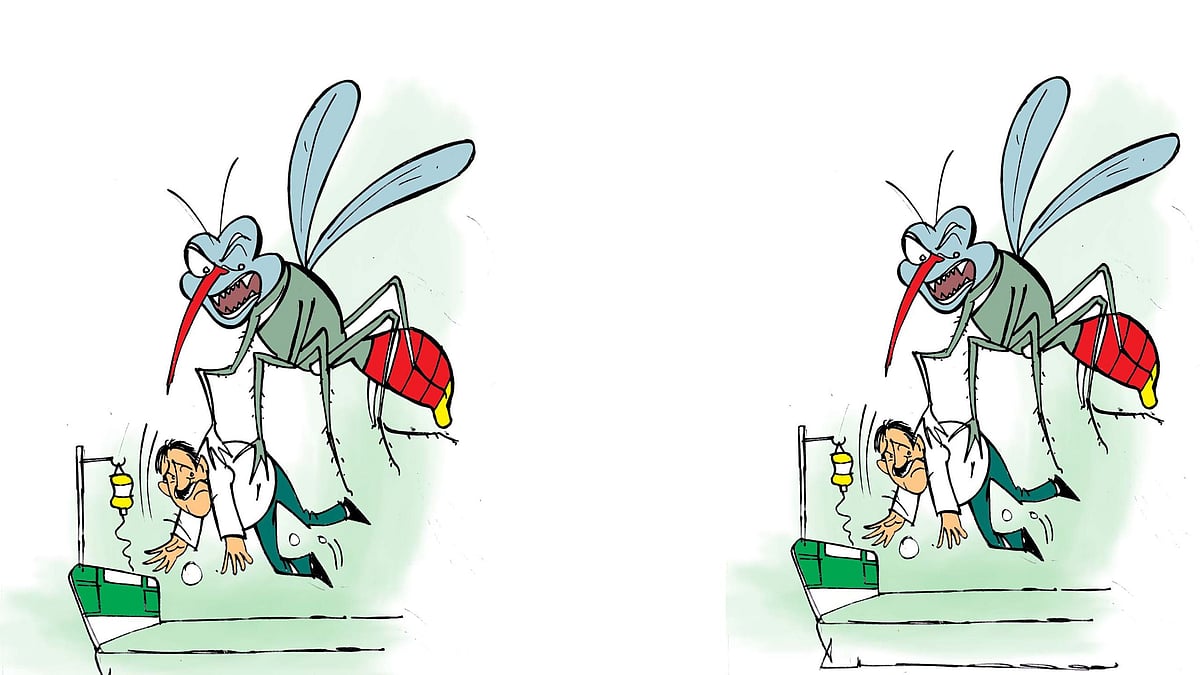 550 Dengue Cases In State; AI, Drone Mapping To Aid Prevention