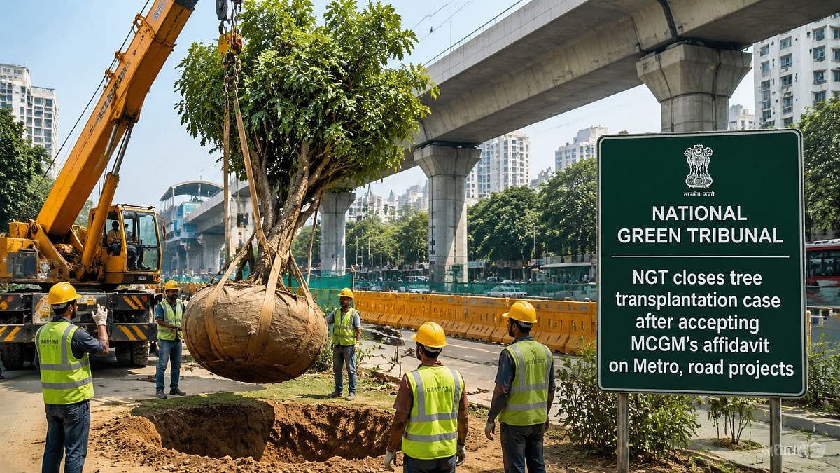 Mumbai: NGT Closes Tree Transplantation Case After Accepting MCGM's Affidavit On Metro, Road Projects