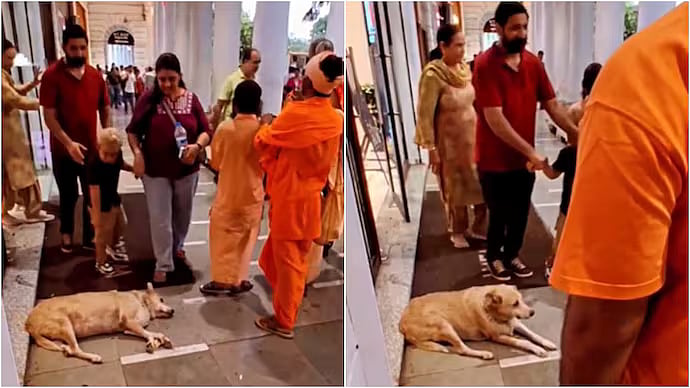 Delhi Connaught Place Video Of Child Throwing Stone At Sleeping Stray Dog Sparks Debate On Parenting 