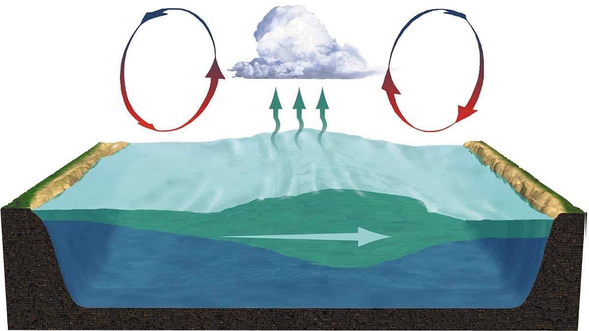 El Niño