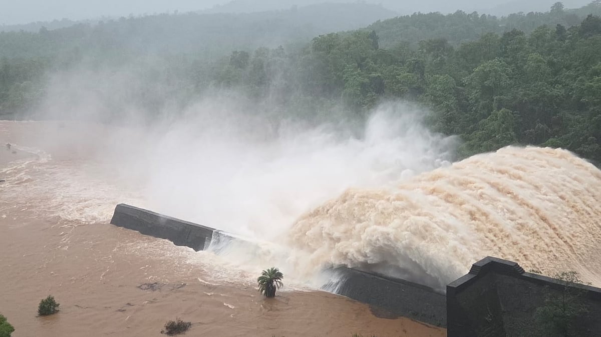 Palghar Rains: 891 Evacuated, Schools Shut, NDRF Deployed As Flood Threat Intensifies