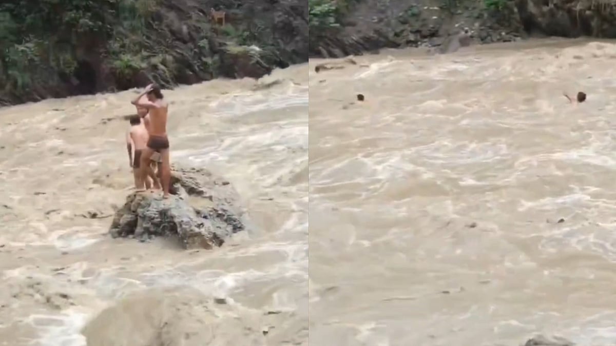'Don't Take Risks': Uttarakhand Police Issues Safety Warning After Viral Video Shows Boys Jumping In Overflowing River