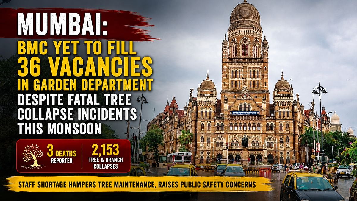 Mumbai: BMC Yet To Fill 36 Garden Department Vacancies Despite Fatal Tree Collapse Incidents This Monsoon