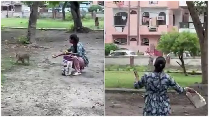 'Tumhare Baap Ka Park Hai Kya?': Woman Defends Feeding Monkeys In Residential Park, Sparks Debate Online - VIDEO
