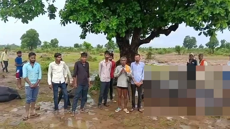Lightning Strike Kills Two Children, 25 Cattle In Madhya Pradesh's Shivpuri 