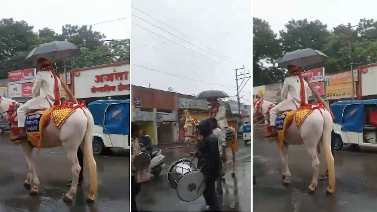 VIDEO Shows Indore Groom Riding Mare Alongside 'Dhol Wale' On Road After Rain Sends Baraatis Home