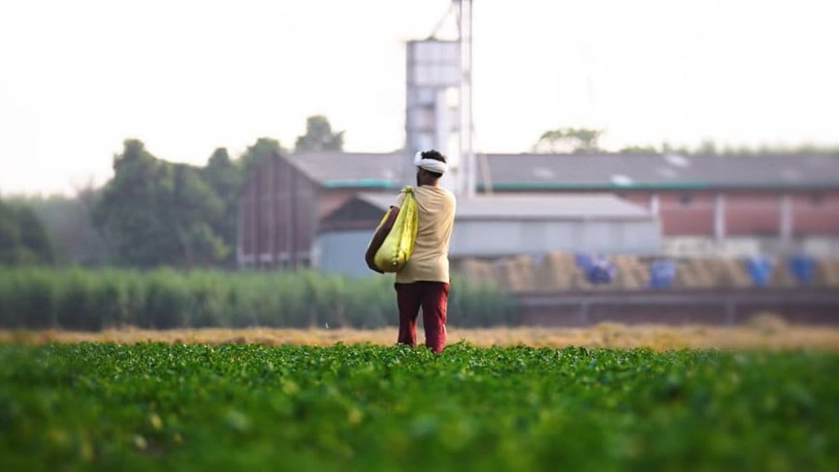 India Boosts Fertiliser Supply With Urea, DAP Imports Amid Global Disruptions