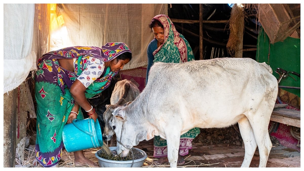 CBM India Expands Sundarbans Development Project, Extends Livelihood & Essential Services To Three More Villages