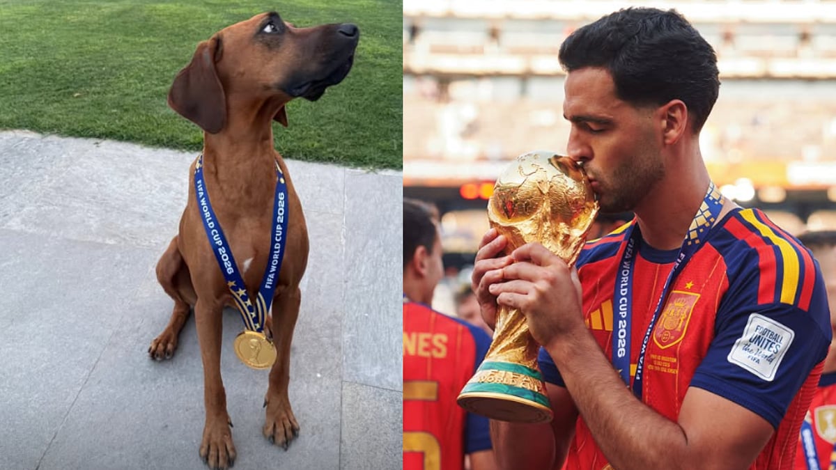 Mikel Merino Shares Photo Of His Dog Wearing FIFA World Cup 2026 Winner's Medal After Spain's Triumph