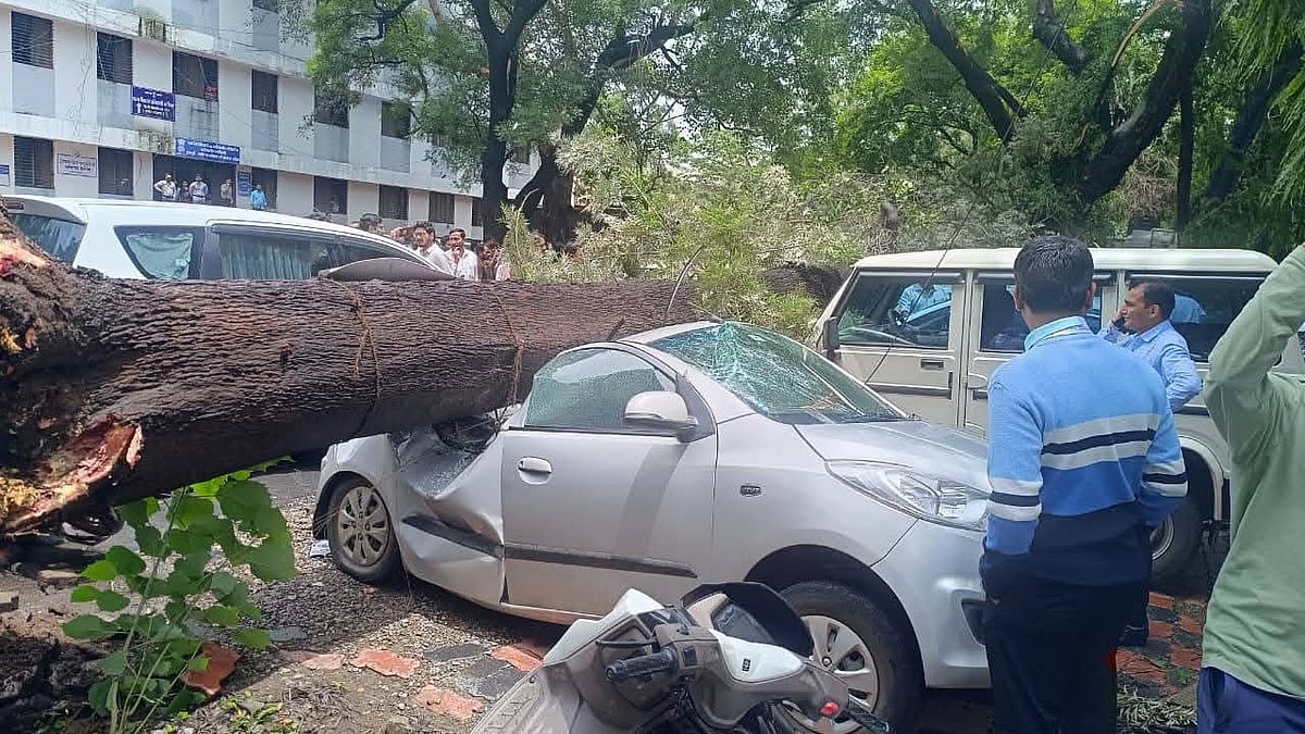 Nashik: Tree Collapses At Collectorate Amid Heavy Rain, Six Vehicles Damaged
