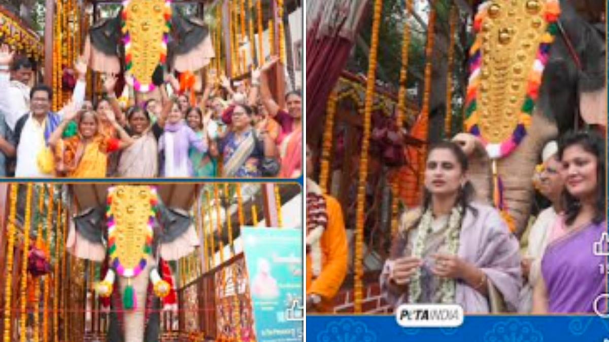 ISKCON Pandharpur Unveils Life-Size Mechanical Elephant 'Airavata' Donated By PETA India For Cruelty-Free Temple Ceremonies
