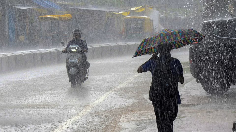 Madhya Pradesh July 24, 2026, Weather Update: Heavy Rain Warning For Five Districts Including Mandsaur, Ratlam, Panna & More
