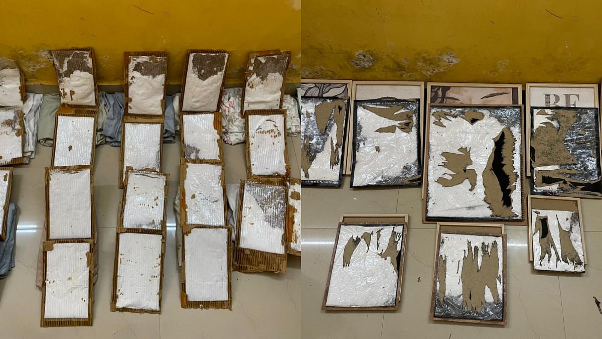 NCB Mumbai Seizes 11 Kg Ephedrine Worth ₹5 Crore, Busts International Courier Trafficking Network