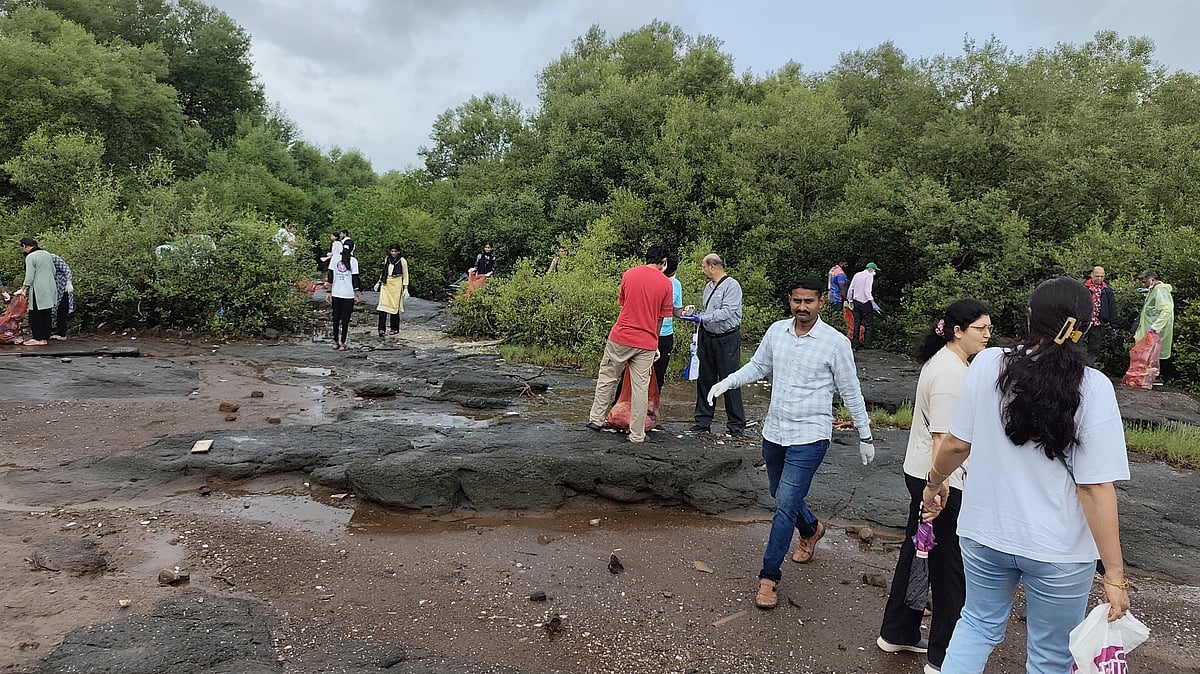 International Mangrove Day: 200+ Volunteers Clean Navi Mumbai Mangroves, Remove 1.5 Tonnes Of Trash