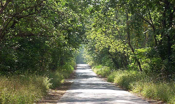 Visiting Mumbai's Sanjay Gandhi National Park This Monsoon? Read This Before You Go