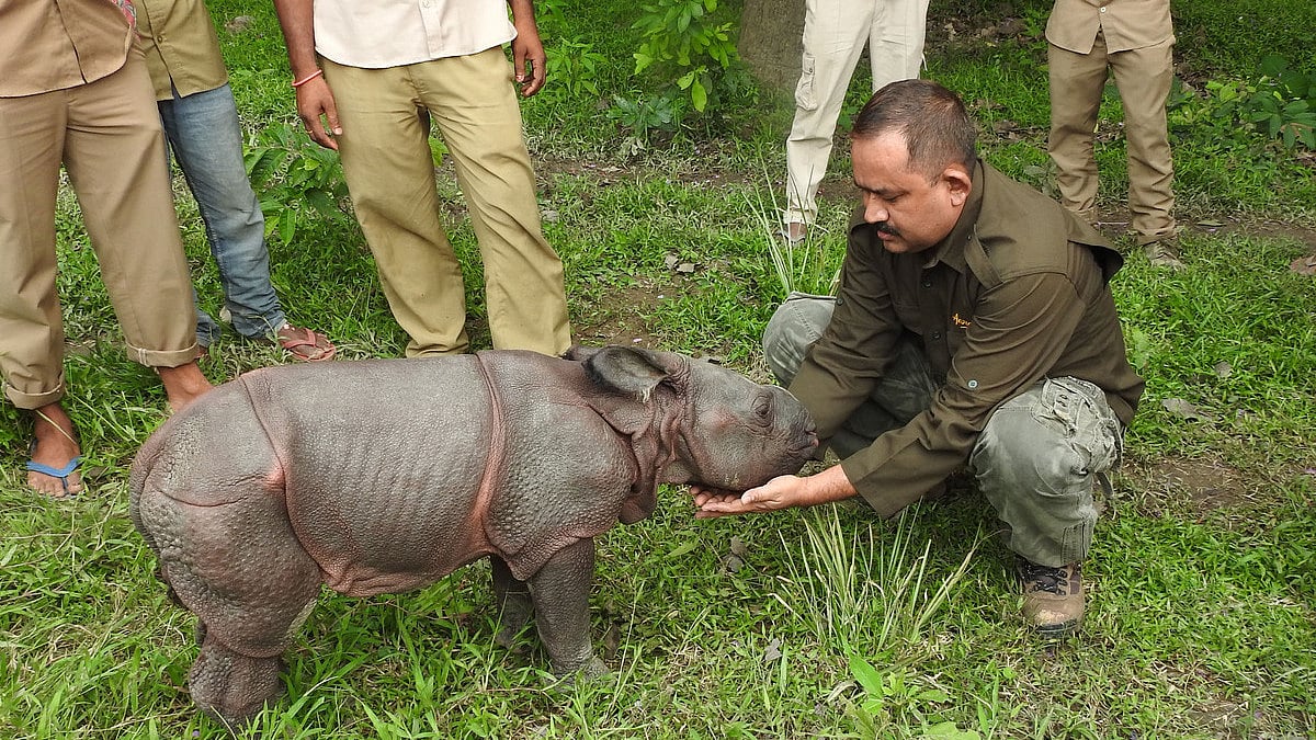 On World Nature Conservation Day Today, A Look At Bibhab Talukdar And Aaranyak’s Quest To Protect Kaziranga