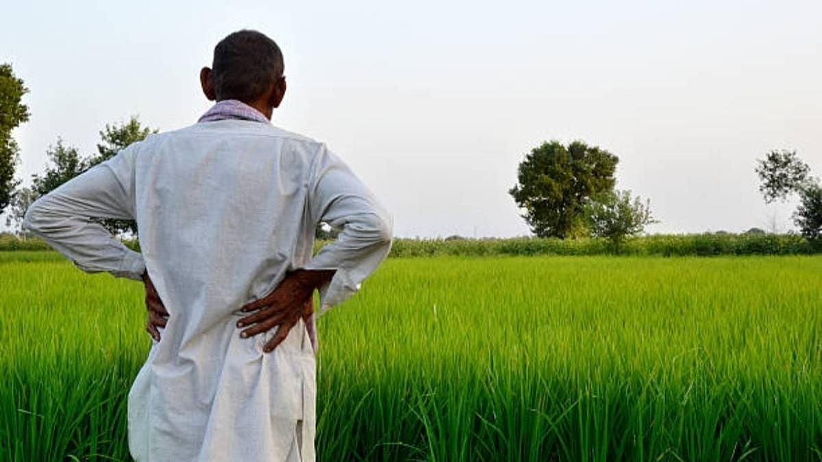 BKS Alleges Multi-Crore FPO Scam, Says 70% Of CBBOs Failed To Promote Farmer Organisations