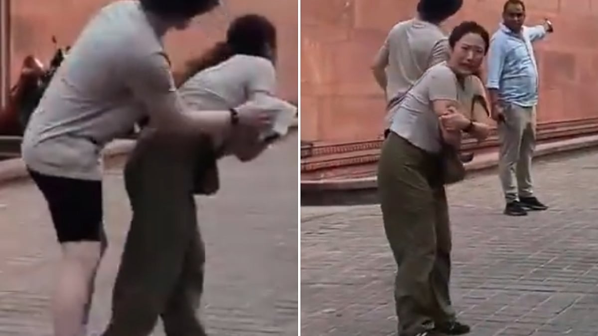 Video: South Korean Tourist Bitten By Monkey At Taj Mahal; Ambulance Arrives Nearly An Hour Later