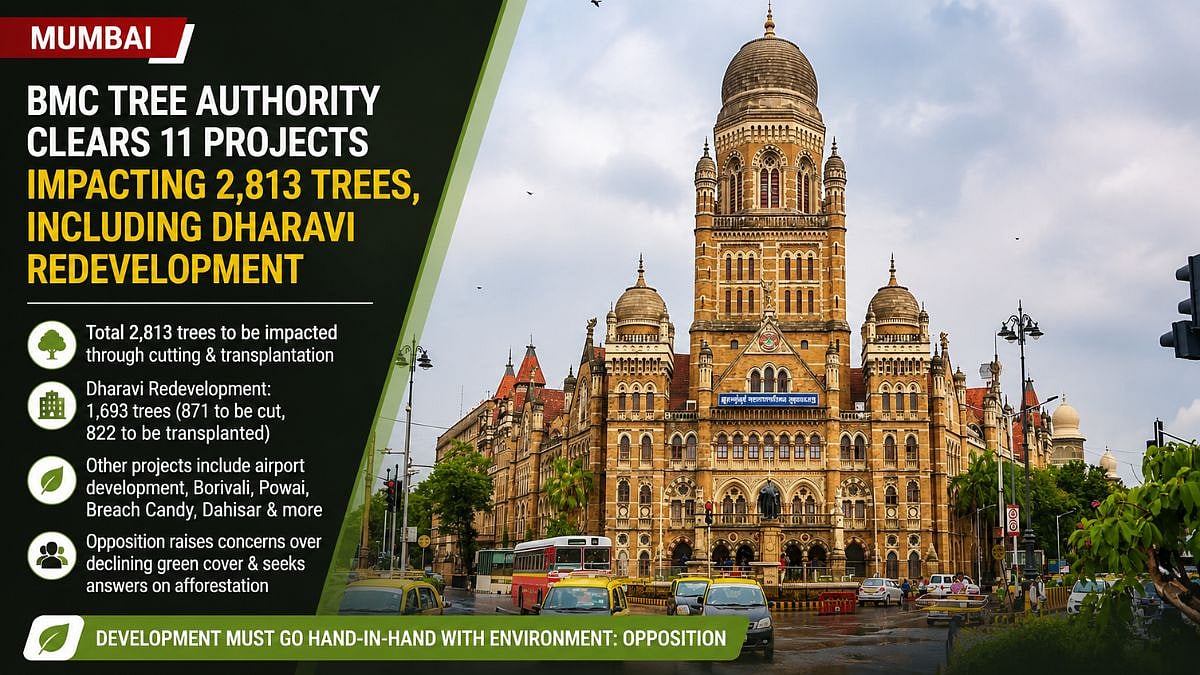 Mumbai: BMC Tree Authority Clears 11 Projects Impacting 2,813 Trees, Including Dharavi Redevelopment