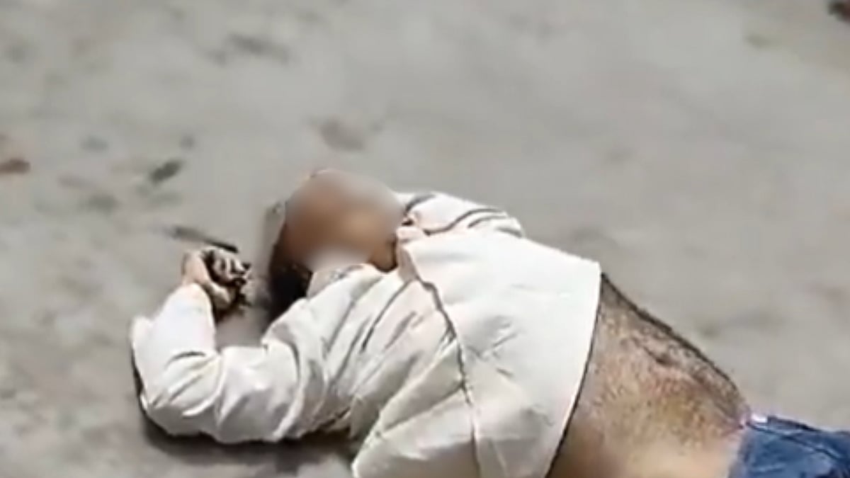 Former UP Minister And BJP Leader Nanak Ram Bhurji Dies After Falling From 7th Floor Of MLA Residence In Lucknow - VIDEO