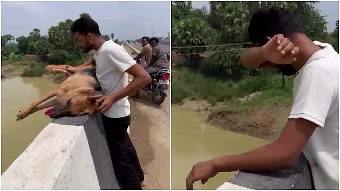 'Even In Death, They Deserve Dignity': Man Throws Beloved Dead Pet's Carcass Into River, Emotional Video Sparks Debate
