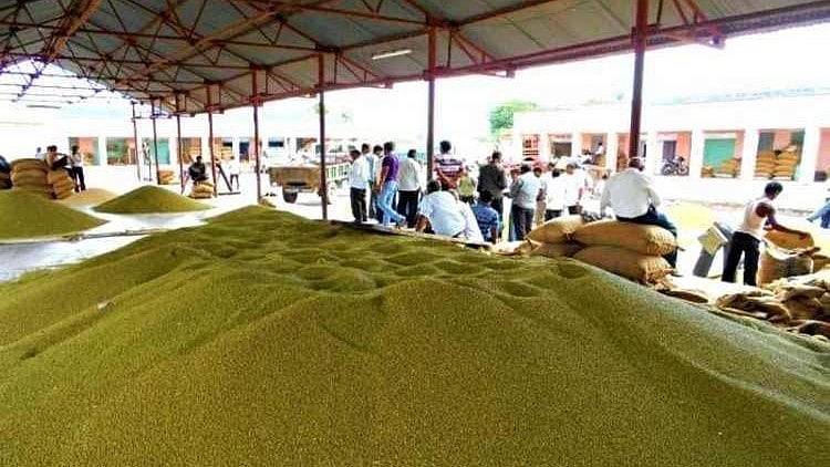 MSP Of Urad ₹8,400 Per Quintal, But Only 30 Tonnes Procured 