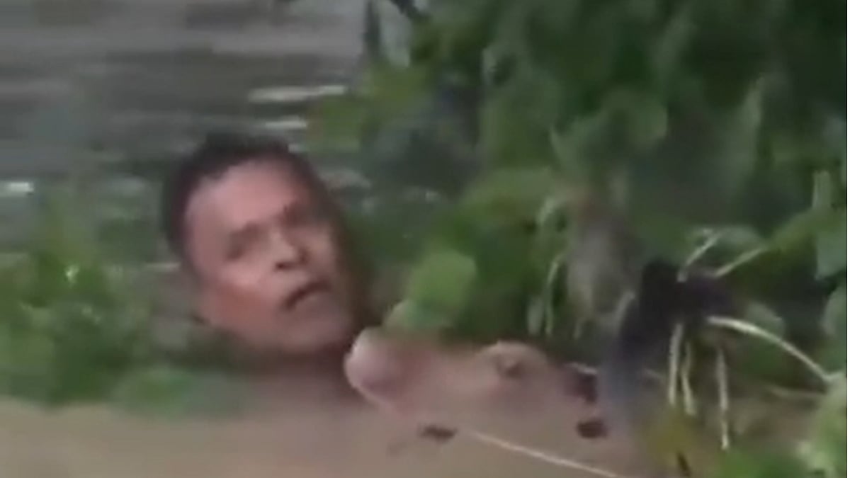 Watch: Assam Man Braves Neck-Deep Floodwaters To Rescue Drowning Calf