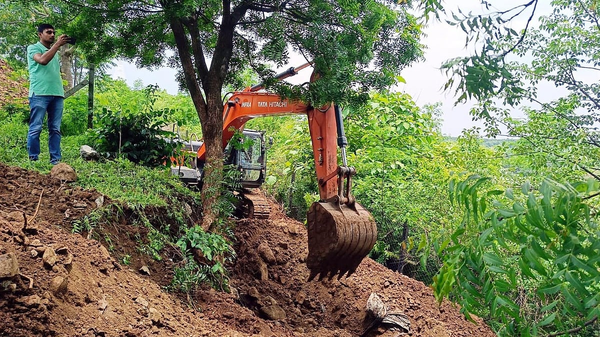 NGT Orders Probe Into Alleged Hill Cutting In Bhopal’s Tiger Movement Area