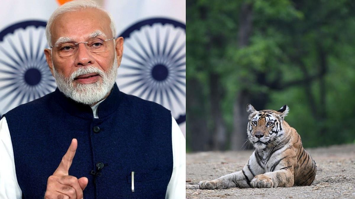PM Modi Extend Global Tiger Day Greetings; Says 'India’s Tiger Conservation Efforts Are Inspired By Our Centuries-Old Culture...'