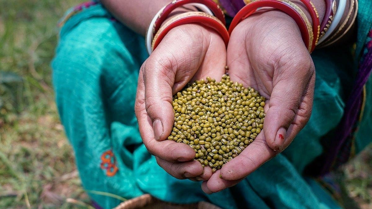 MP Govt Raises Moong Procurement To 60% After Farmers’ Protest, Suspends Fertiliser E-Token System