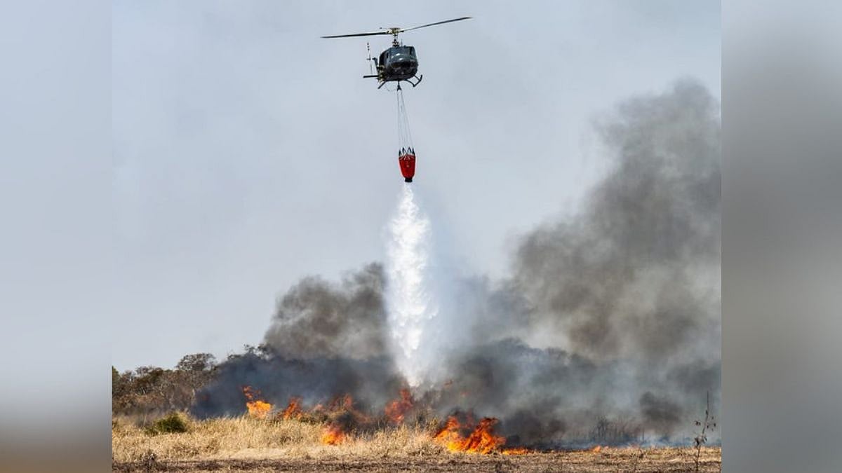 Argentina Helicopter Crash: 7 Killed As Firefighting Aircraft Goes Down During Training Mission