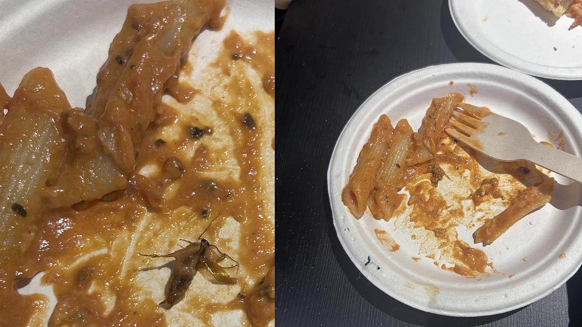 Mumbai: Journalist Alleges Cockroach Found In Kids' Pasta At Pokiddo Junior In Lower Parel - Video