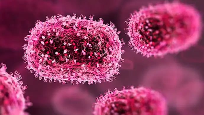 Health Watch: No Alert Across Madhya Pradesh Despite CHPV Outbreaks In Neighbouring States 