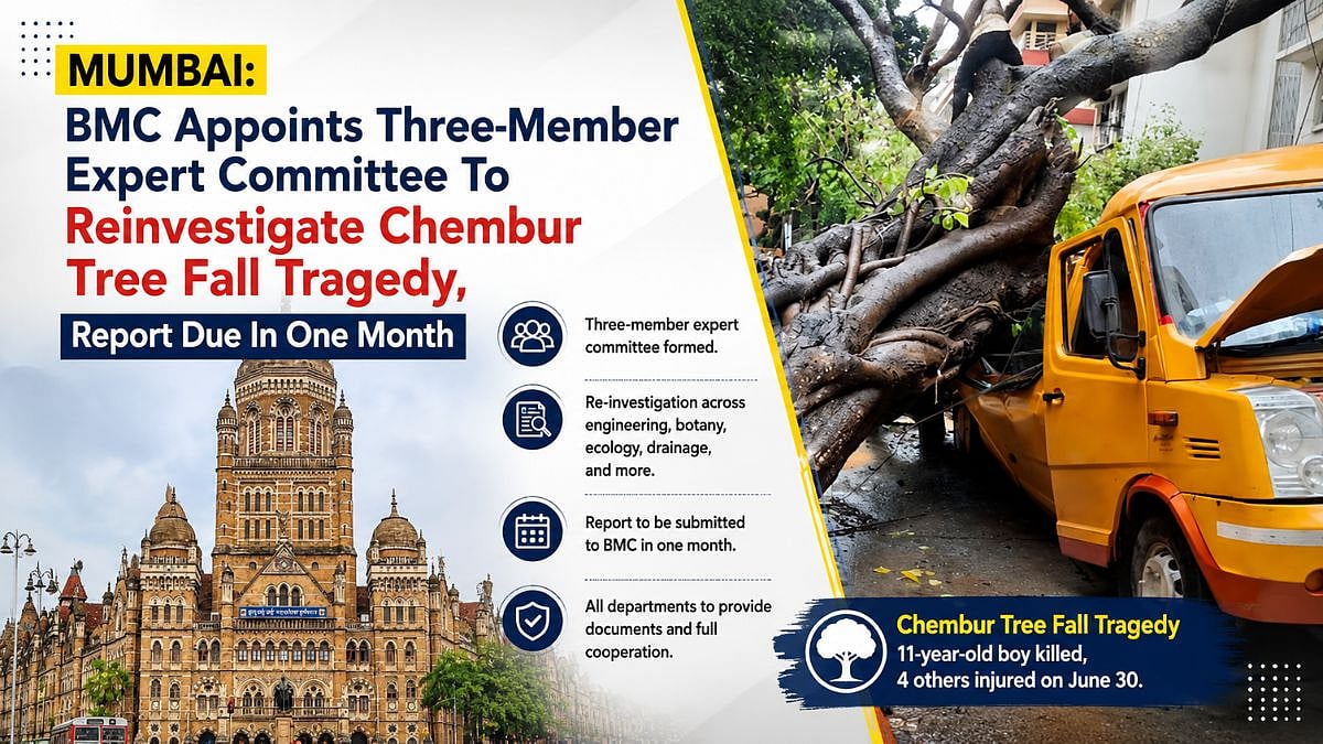Mumbai: BMC Appoints Three-Member Expert Committee To Reinvestigate Chembur Tree Fall Tragedy, Report Due In 1 Month